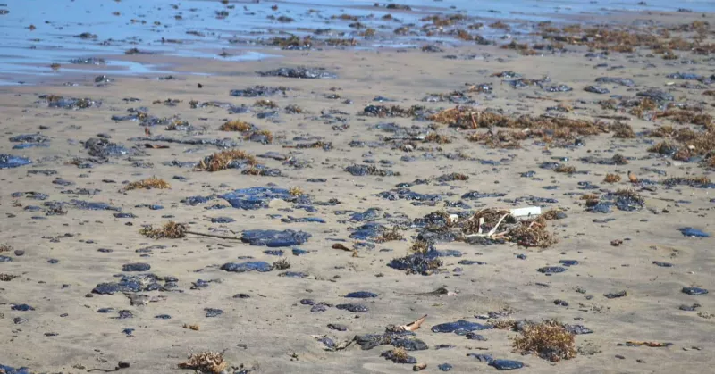 Qué falló en Pemex: las claves detrás de la fuga que provocó el derrame en el Golfo