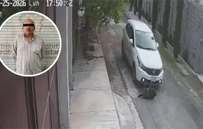 Va a proceso hombre por crueldad animal en Saltillo; atropellaba perros en Lomas de Lourdes