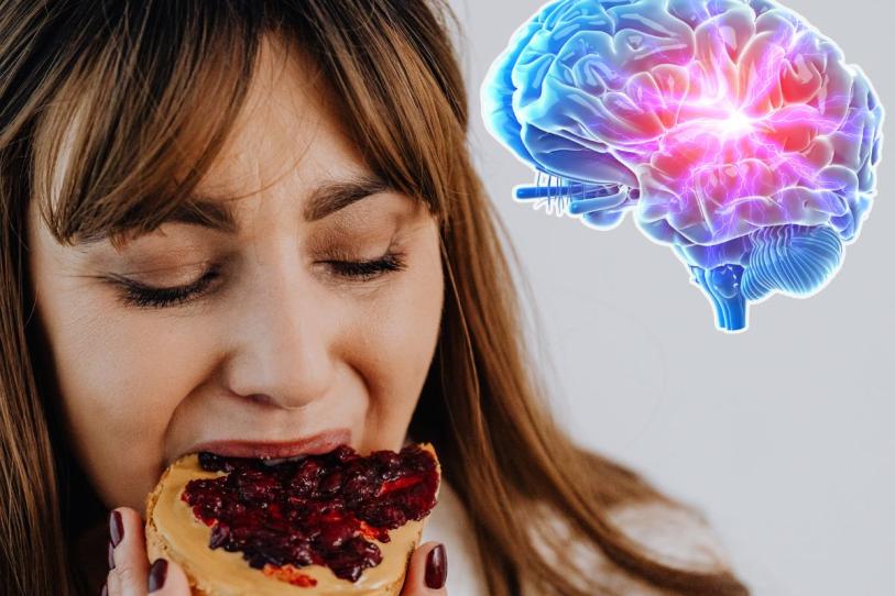 ¿Masticar activa el cerebro? Esto dice la ciencia sobre la memoria y la salud cognitiva