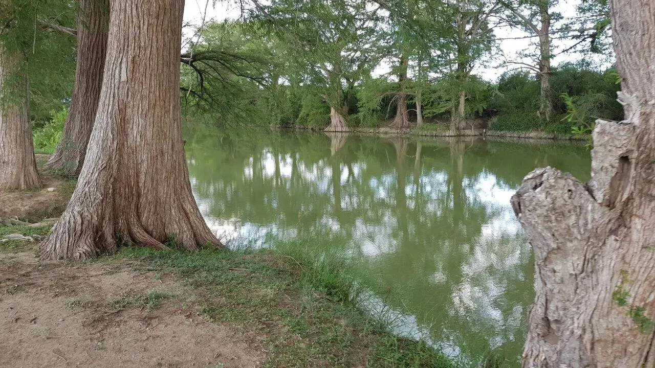 ¿Qué contamina el río Sabinas? Detectan descargas en dos de sus afluentes