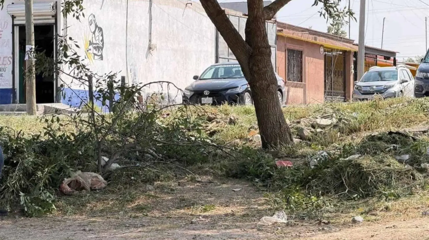 ¿Tiras basura en Saltillo? Multas subirán más de 30% y habrá “mano dura”